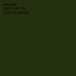 #25300E - Turtle Green Color Image