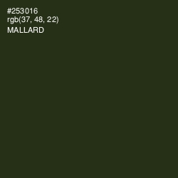 #253016 - Mallard Color Image