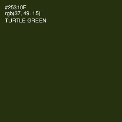 #25310F - Turtle Green Color Image