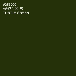 #253209 - Turtle Green Color Image