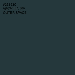 #25393C - Outer Space Color Image