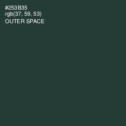 #253B35 - Outer Space Color Image