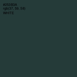 #253B3A - Outer Space Color Image