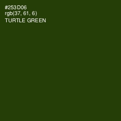 #253D06 - Turtle Green Color Image