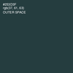 #253D3F - Outer Space Color Image