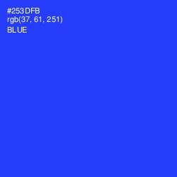 #253DFB - Blue Color Image