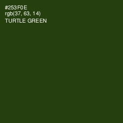 #253F0E - Turtle Green Color Image