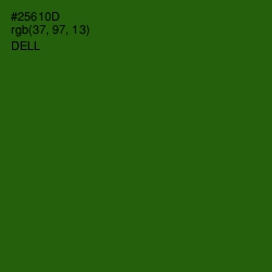 #25610D - Dell Color Image