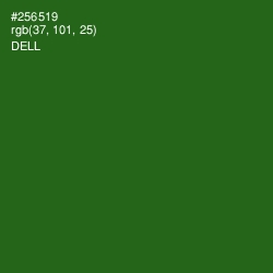 #256519 - Dell Color Image