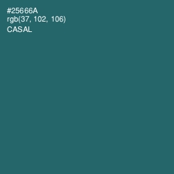 #25666A - Casal Color Image