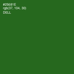 #25681E - Dell Color Image