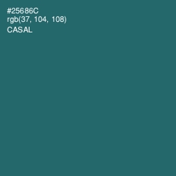 #25686C - Casal Color Image