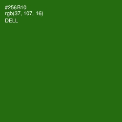 #256B10 - Dell Color Image