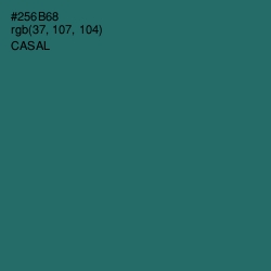 #256B68 - Casal Color Image