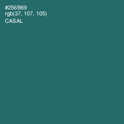 #256B69 - Casal Color Image