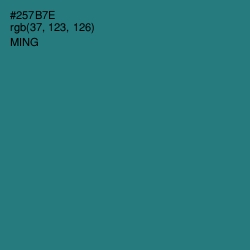 #257B7E - Ming Color Image