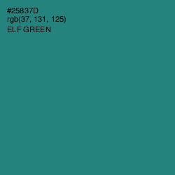 #25837D - Elf Green Color Image