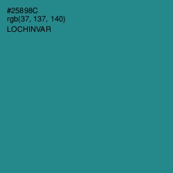 #25898C - Lochinvar Color Image