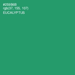 #259B6B - Eucalyptus Color Image