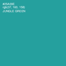 #25A09E - Jungle Green Color Image