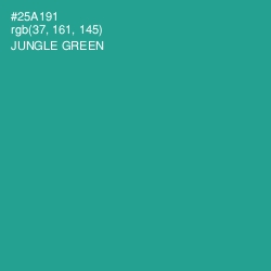 #25A191 - Jungle Green Color Image