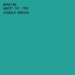 #25A199 - Jungle Green Color Image