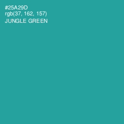 #25A29D - Jungle Green Color Image