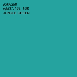 #25A39E - Jungle Green Color Image