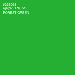 #25B033 - Forest Green Color Image