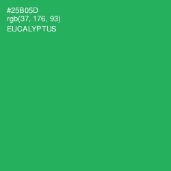 #25B05D - Eucalyptus Color Image