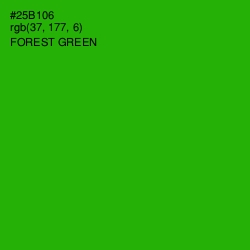 #25B106 - Forest Green Color Image