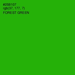 #25B107 - Forest Green Color Image