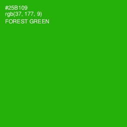 #25B109 - Forest Green Color Image