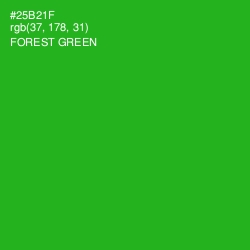 #25B21F - Forest Green Color Image