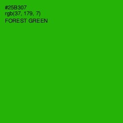 #25B307 - Forest Green Color Image