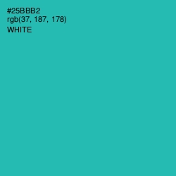 #25BBB2 - Pelorous Color Image