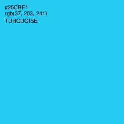 #25CBF1 - Turquoise Color Image