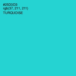 #25D3D3 - Turquoise Color Image