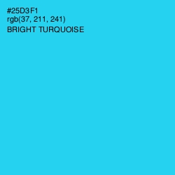 #25D3F1 - Bright Turquoise Color Image