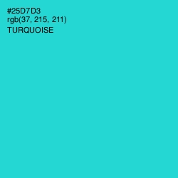 #25D7D3 - Turquoise Color Image