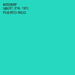 #25D8BF - Puerto Rico Color Image