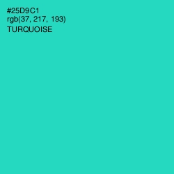 #25D9C1 - Turquoise Color Image