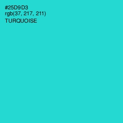 #25D9D3 - Turquoise Color Image