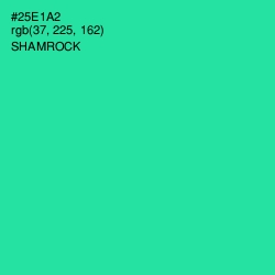 #25E1A2 - Shamrock Color Image