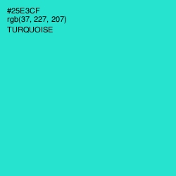 #25E3CF - Turquoise Color Image