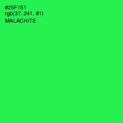 #25F151 - Malachite Color Image