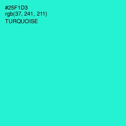 #25F1D3 - Turquoise Color Image