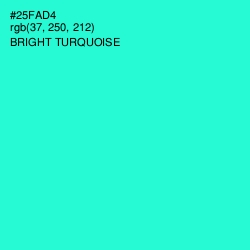 #25FAD4 - Bright Turquoise Color Image