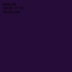 #260C38 - Revolver Color Image