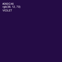 #260C46 - Violet Color Image